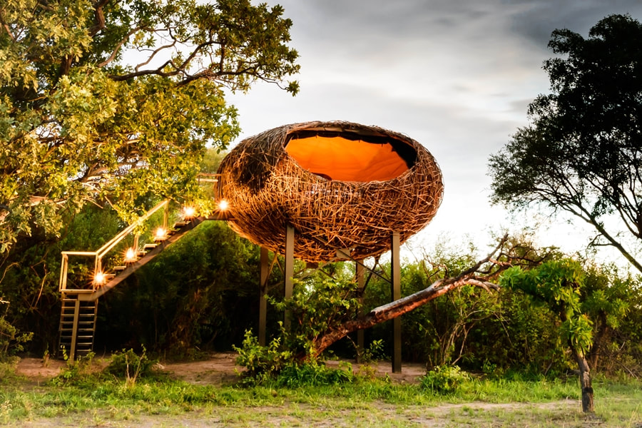 Birds Nest accommodation, Busanga, Kafue National Park