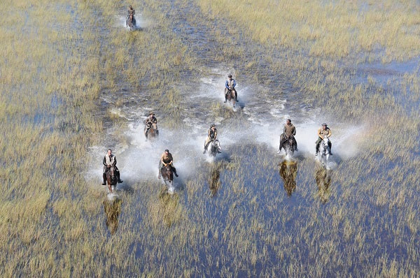 Horse riding Okavango Delta with Venture To Africa
