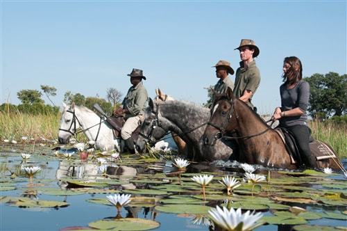 Horse Riding in the Okavango Delta
