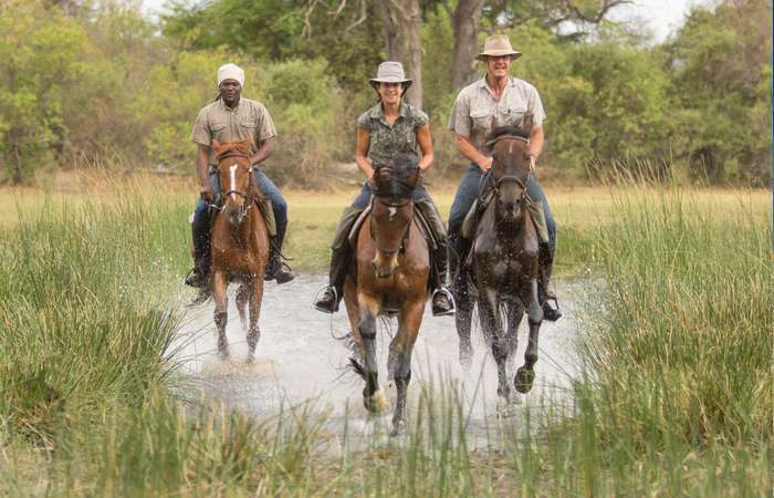 Horse riding, Okavango Delta