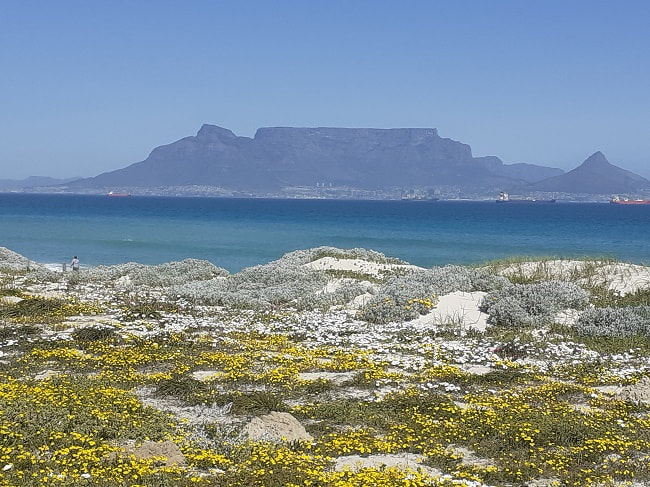 Table Mountain, Cape Town, from Blouberg, South Africa